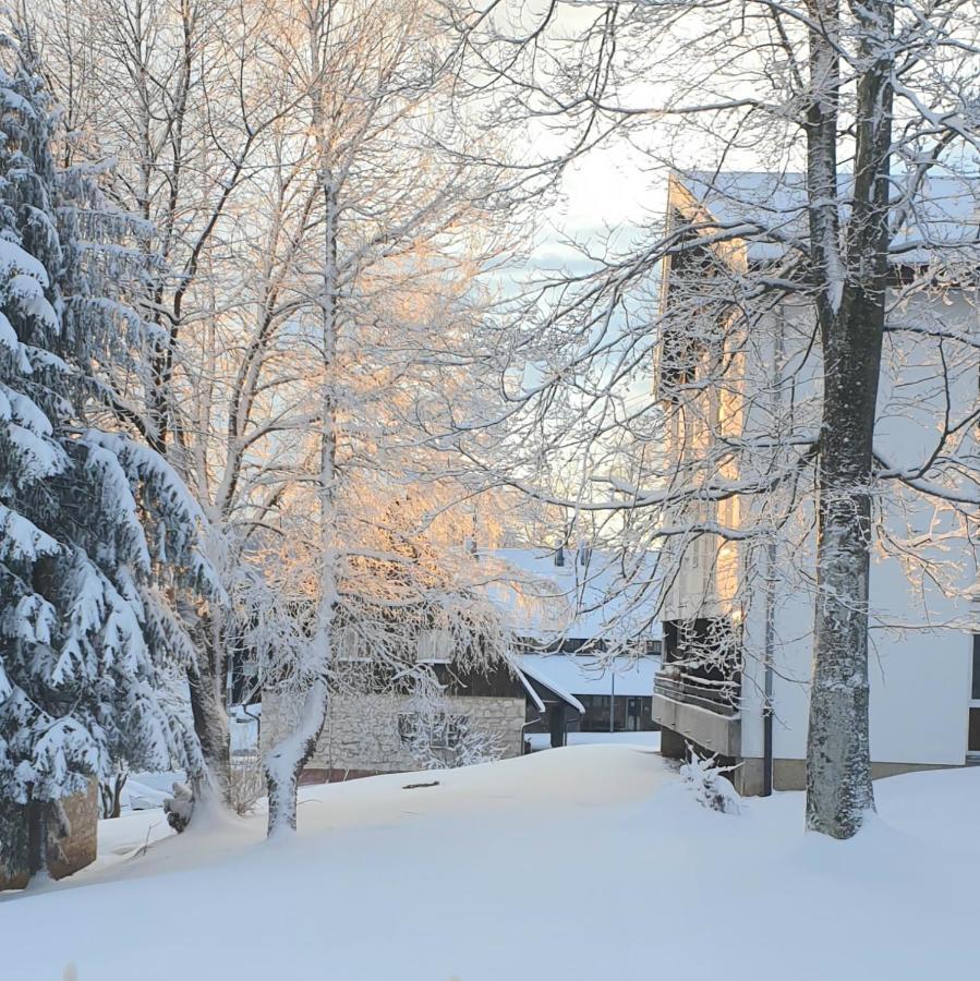 Apartment 10 Minutes Walk To The Lakes *