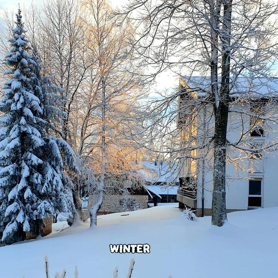 Appartement 10 Minutes Walk To The Lakes *